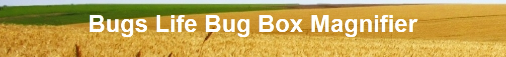 Bugs Life Bug Box Magnifier