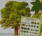 1983 Force Trees of Britain1 small