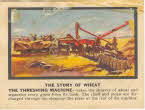 Force Story of Wheat cards1 small