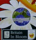 2007 Shredded Wheat RHS Britain in Bloom & Seeds (1)1 small