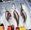 1998 Shreddies Godzilla Posters2 small