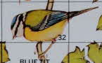1981 Spoonsize RSPB Gaird Game & Membership (1)1 small
