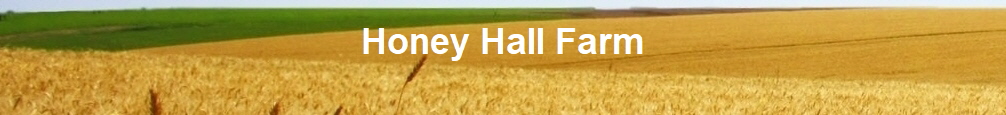 Honey Hall Farm