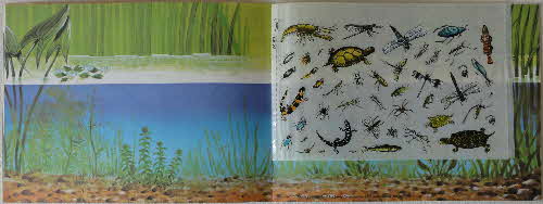 1970 Ricicles Instant Picture Book Pond Life inside