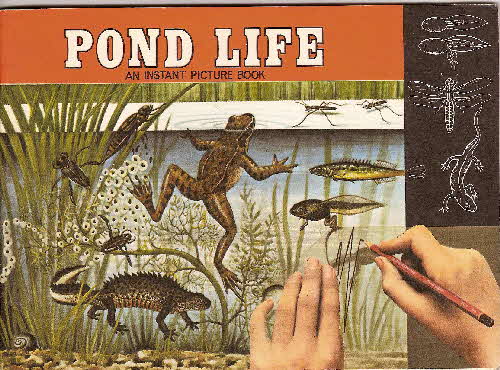 1970 Ricicles Instant Picture Book Pond Life