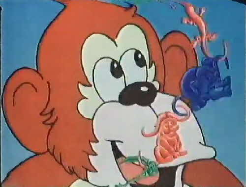 1984 Coco Pops Jungle Chums (3)