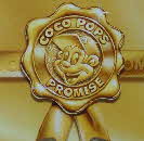 2011 Coco Pops Promise1 small