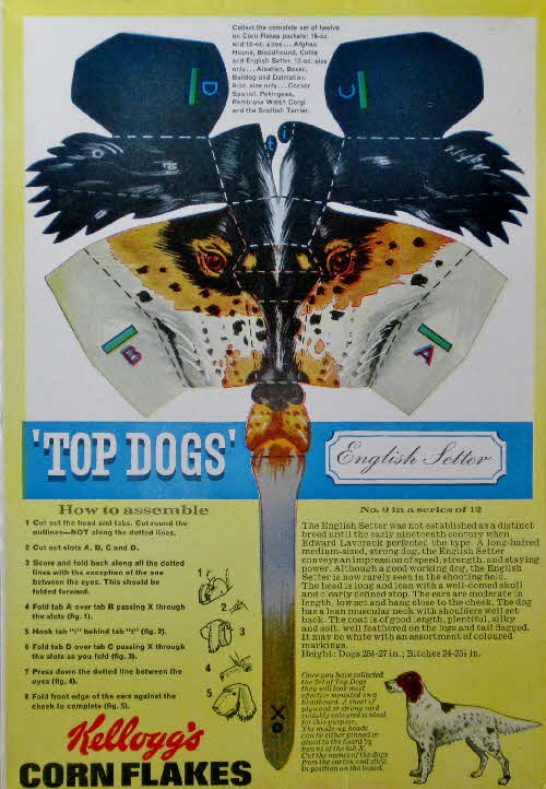 1964 Cornflakes Top Dogs No 9 English Setter