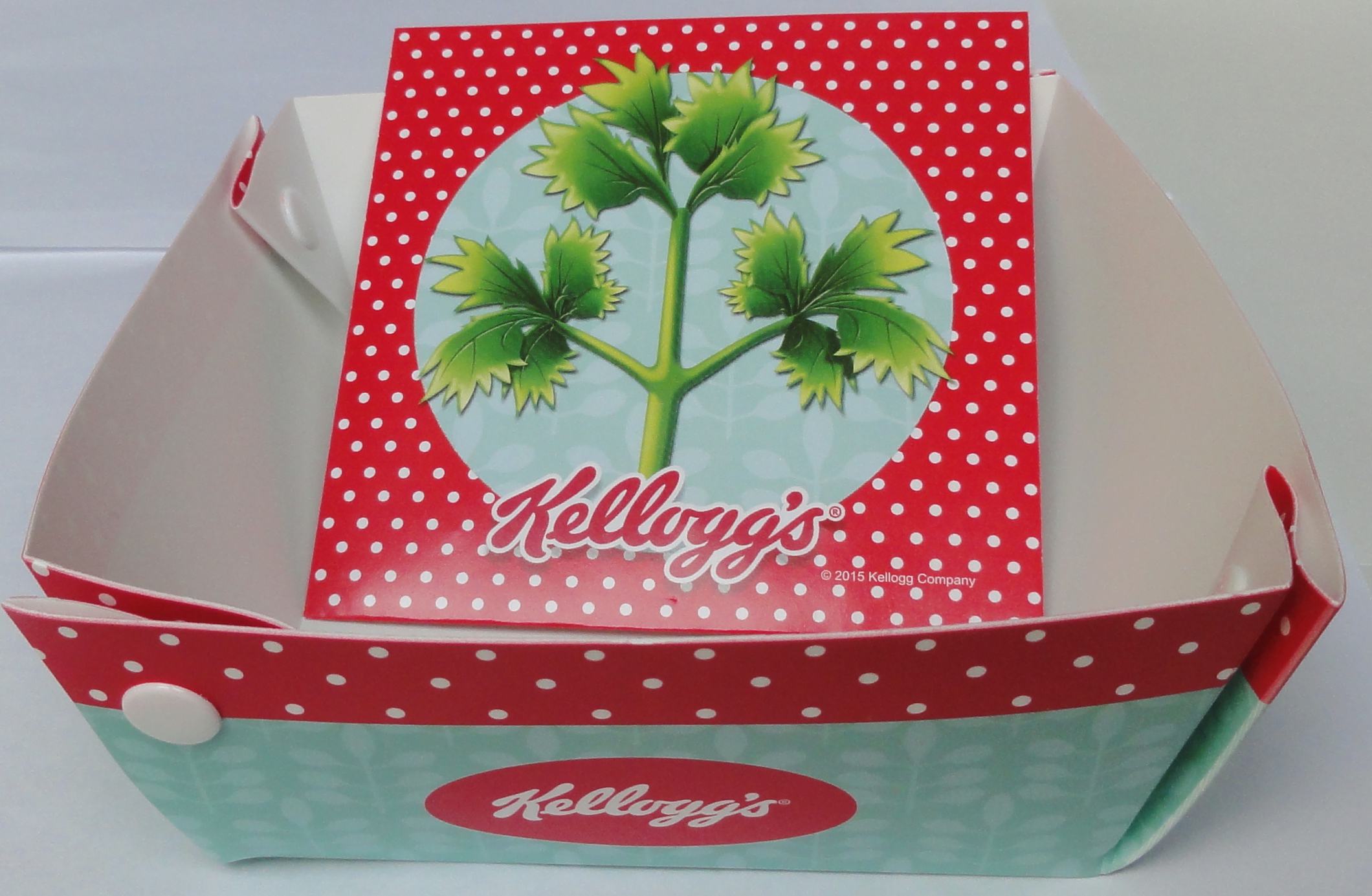 2015 Coco Pops Grow with Kelloggs Kit (8)