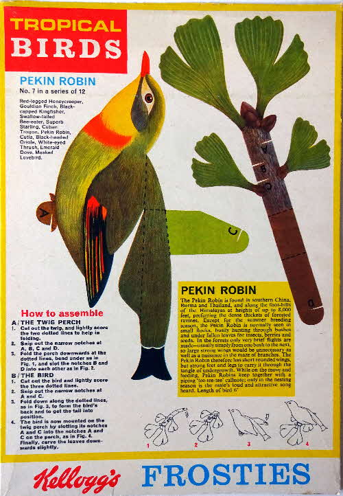 1966 Frosties 3D Model Tropical Birds Pekin Robin  (2)