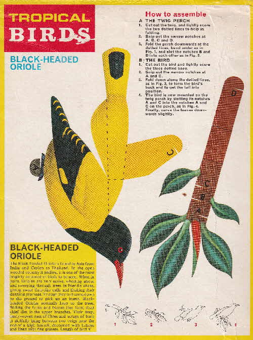 1966 Frosties Tropical Birds Models Black Headed Oriole