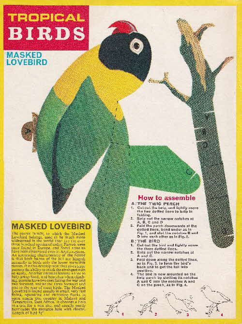 1966 Frosties Tropical Birds Models Masked Lovebird