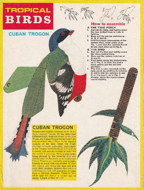 1966 Frosties Trtopical Birds Models Cuban Trogon