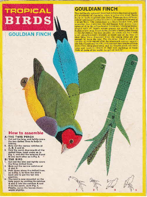 1966 Frosties Trtopical Birds Models Gouldian Finch