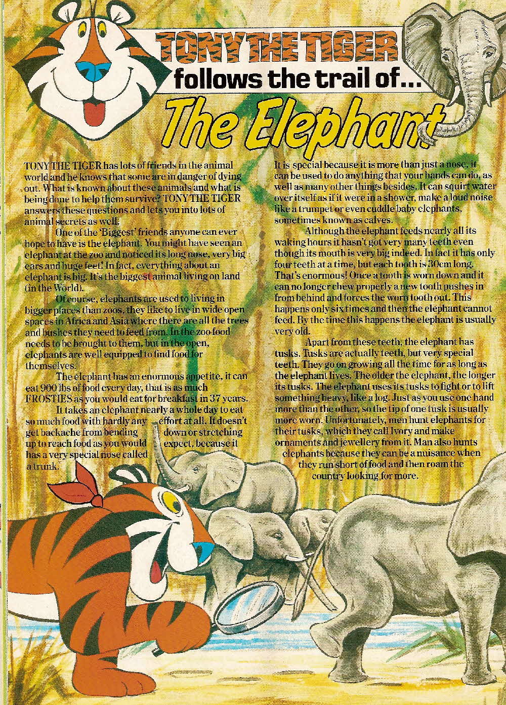 1985 Frosties Tony the Tiger Magazine (12)