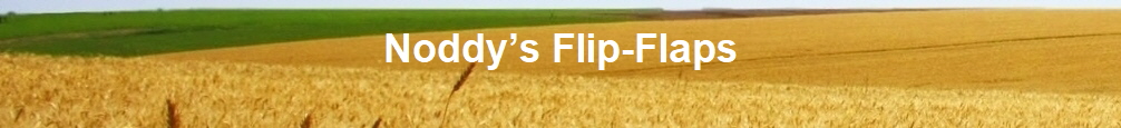 Noddys Flip-Flaps