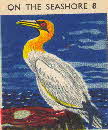1956 Puffed Wheat Quiz Cards On the Seashore1