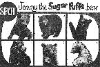 1963 Sugar Puffs Spot Jeremy Bear Competition