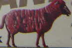 1966 Sugar Puffs Farm Animals pkt (1)