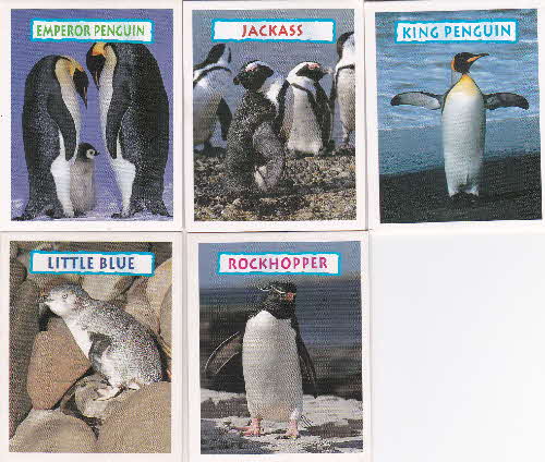 1996 Sugar Puffs Penguins cards front