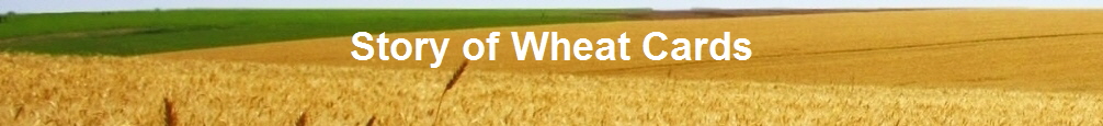Story of Wheat Cards
