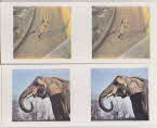 1960 Weetabix Animal 3D Cards 2 front1