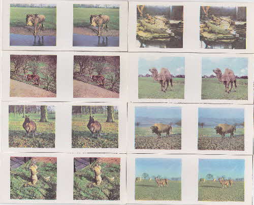 1960 Weetabix Animal 3D Cards 1 front