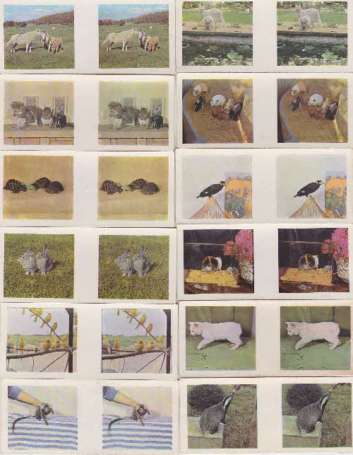 1961 Weetabix Our Pets 3D Cards 1 front