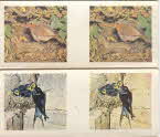 1962 Weetabix British Birds 3D cards2