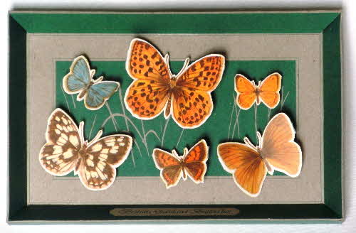 1979 Weetabix Naturecare Picture - British Grasslands Butterflies made