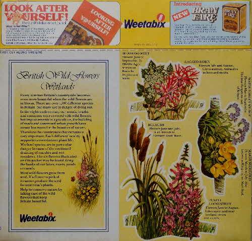 1979 Weetabix Naturecare Picture - British Wetlands Wild Flowers