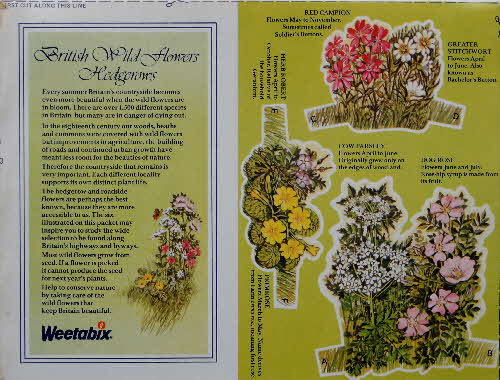 1979 Weetabix Naturecare Picture - British Wild Flowers Hedgerows