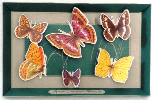 1979 Weetabix Naturecare Picture - British Woodlands Butterflies done