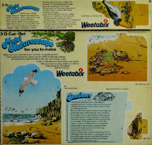 1977 Weetabix Model Naturescape  Seashore
