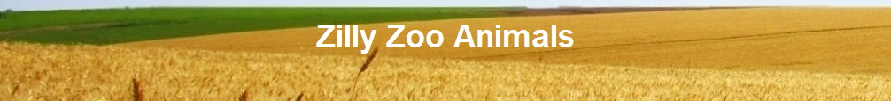 Zilly Zoo Animals