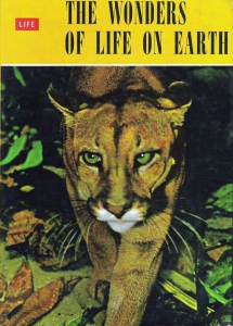 1964 Frosties The Wonders of Life on Earth1 small